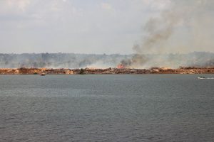 Anthropozhän, Belo Monte, Regenwaldzerstörung, Betty Beier 2015